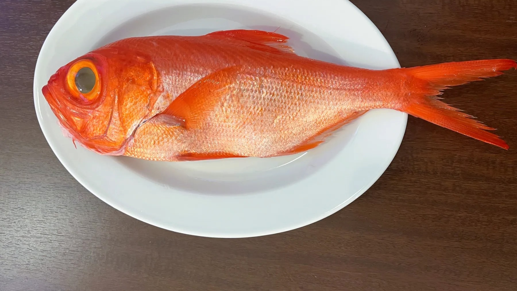 旬の魚を使った料理